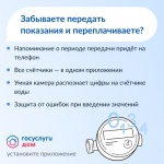 Госулуги.Дом функционал Госулуги.Дом функционал